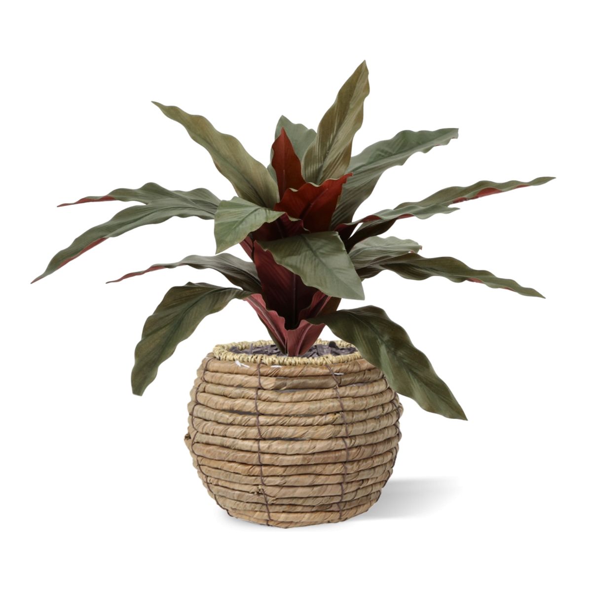 Calathea 30cm Kunstplant groen/rood