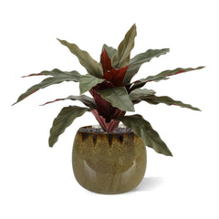 Calathea 30cm Kunstplant groen/rood