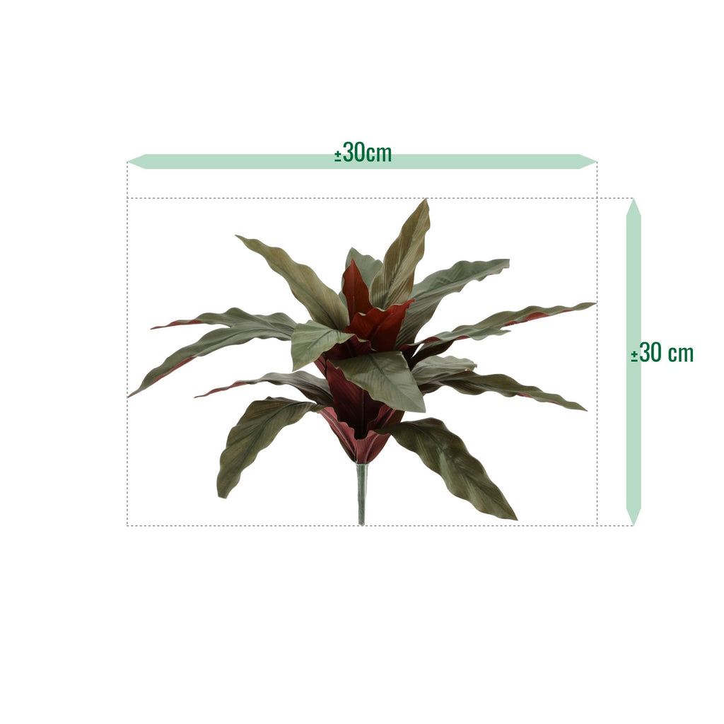 Calathea 30cm Kunstplant groen/rood