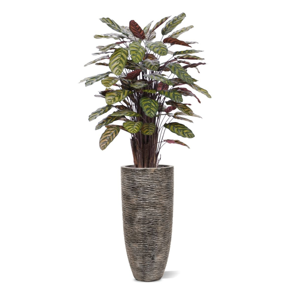 Red Calathea Makoyana kunstplant Deluxe 115cm