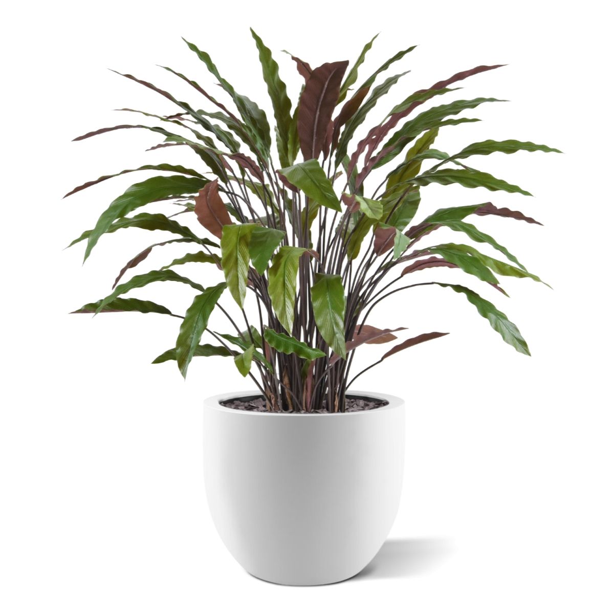 Calathea kunstplant 85cm - groen/rood