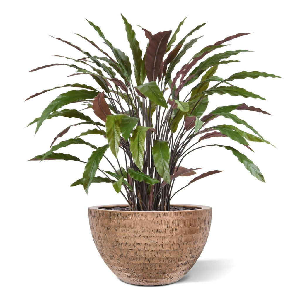 Calathea kunstplant 85cm - groen/rood