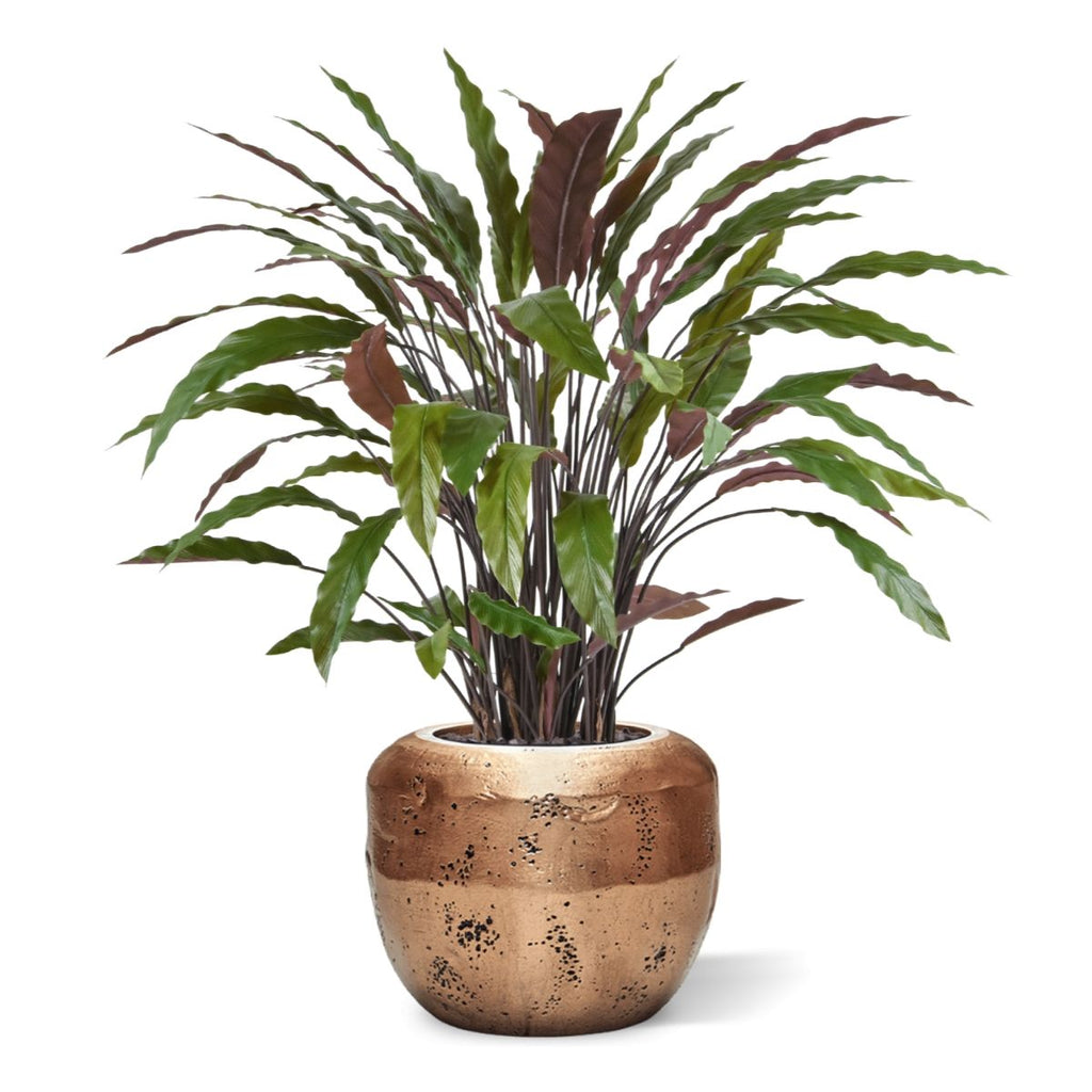 Calathea kunstplant 85cm - groen/rood