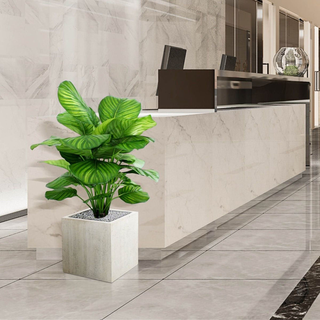 Calathea Fasciata kunstplant 80cm