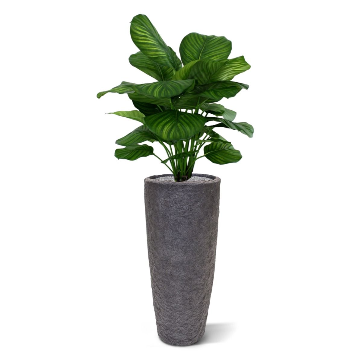 Calathea Fasciata kunstplant 80cm