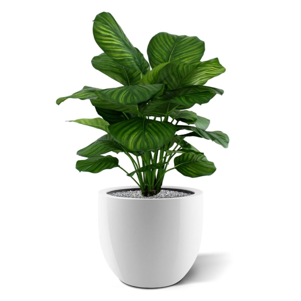 Calathea Fasciata kunstplant 80cm
