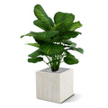 Calathea Fasciata kunstplant 80cm