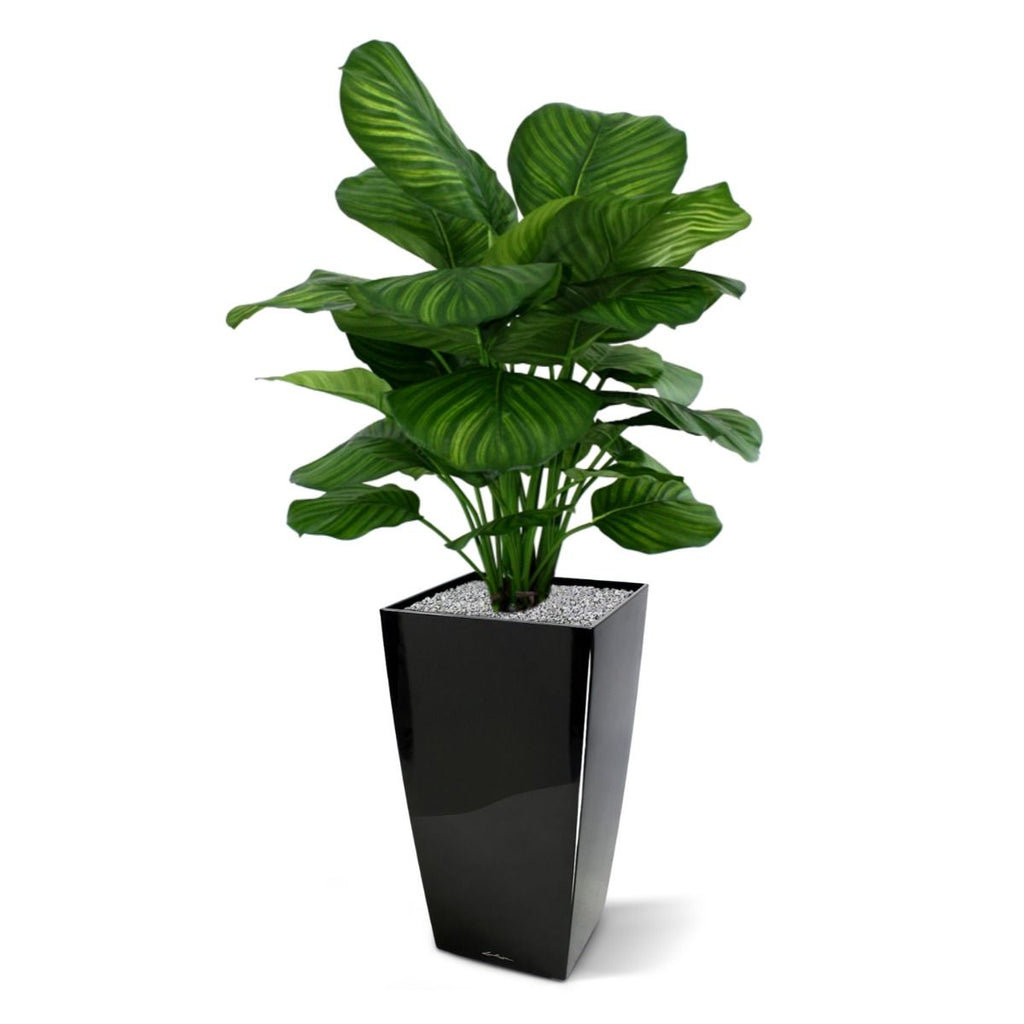 Calathea Fasciata kunstplant 80cm