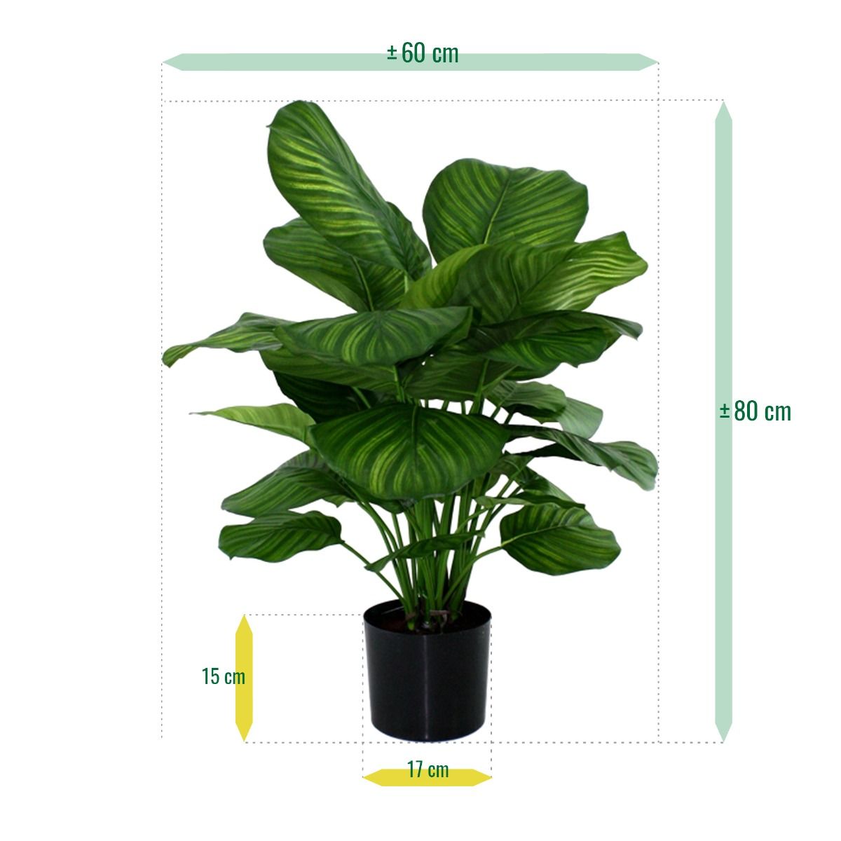 Calathea Fasciata kunstplant 80cm