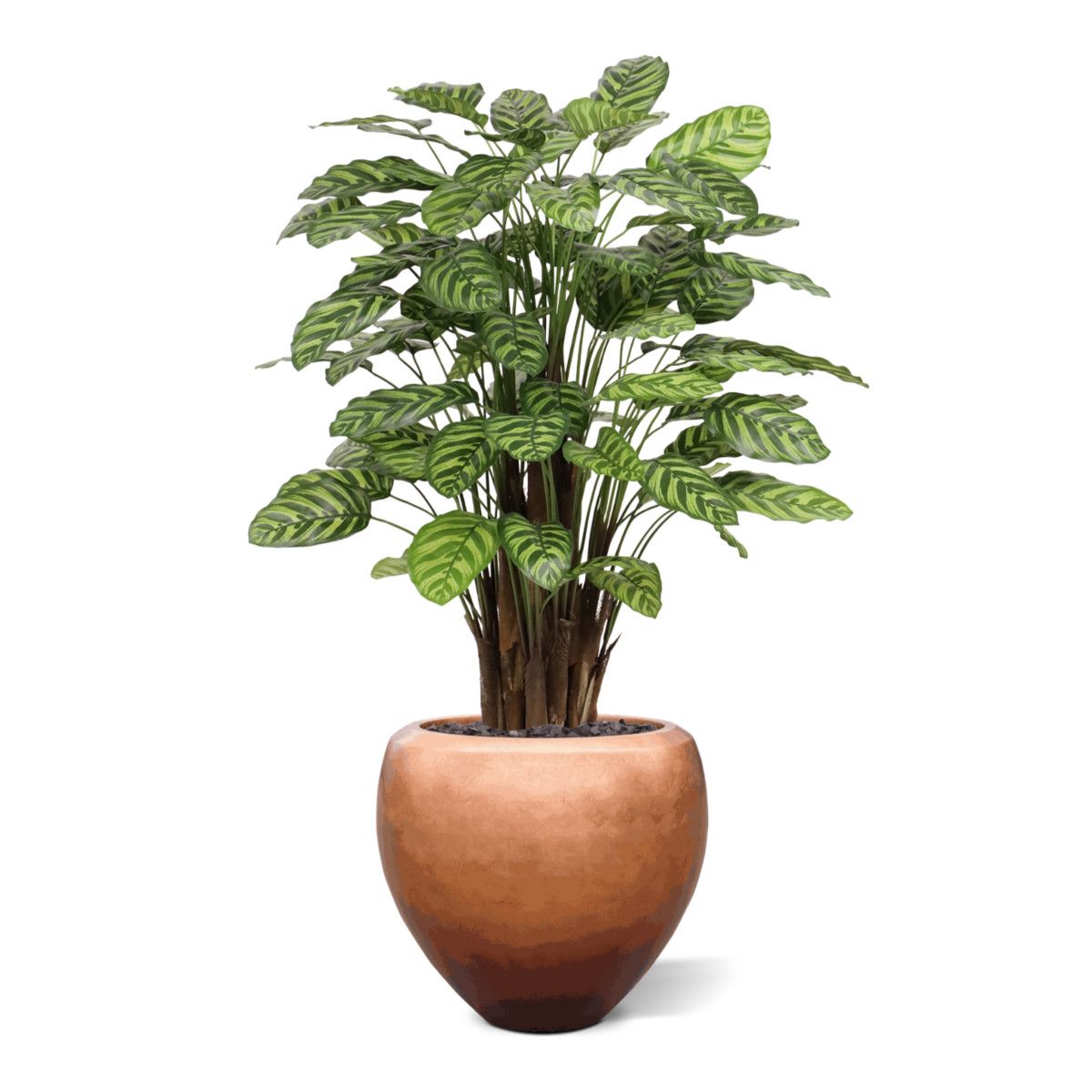Calathea Makoyana kunstplant Deluxe 115cm
