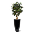 Camelia Japonica deluxe kunstplant 100cm - Creme / Roze