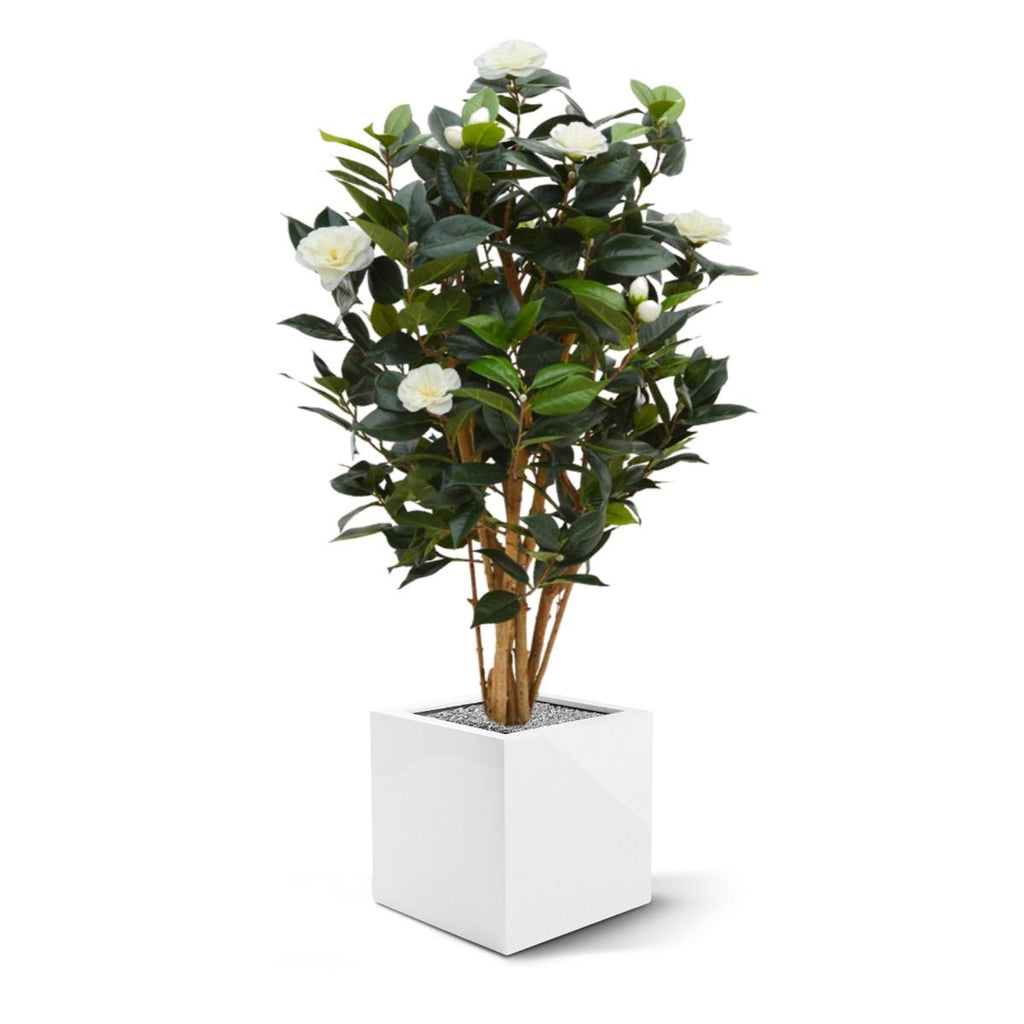 Camelia Japonica deluxe kunstplant 100cm - Creme / Roze
