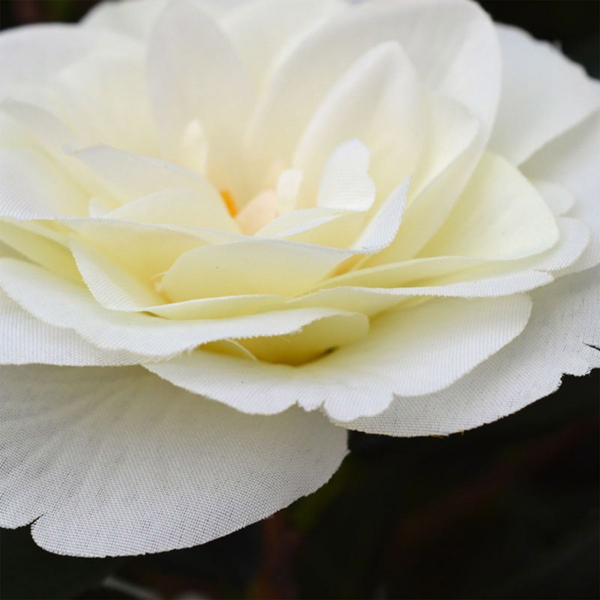 Camelia Japonica deluxe kunstplant 100cm - Creme / Roze