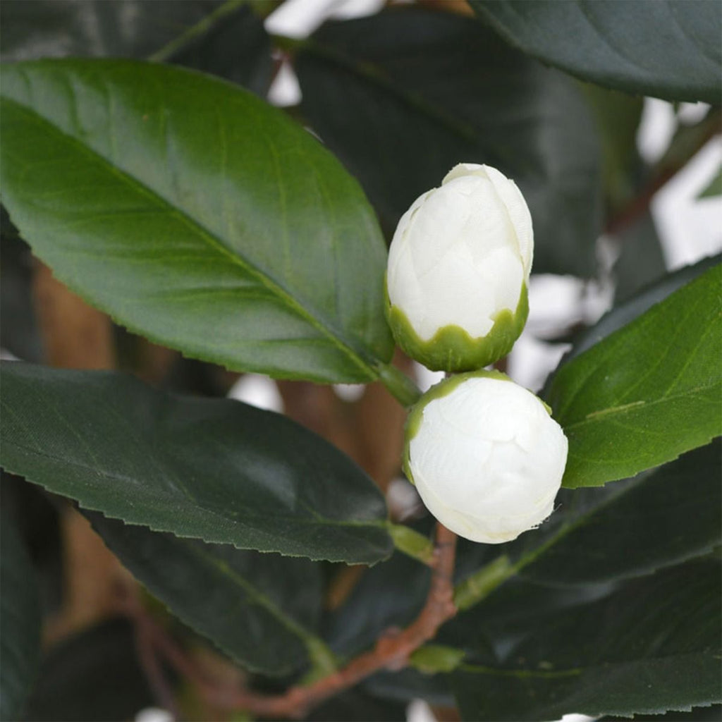 Camelia Japonica deluxe kunstplant 100cm - Creme / Roze