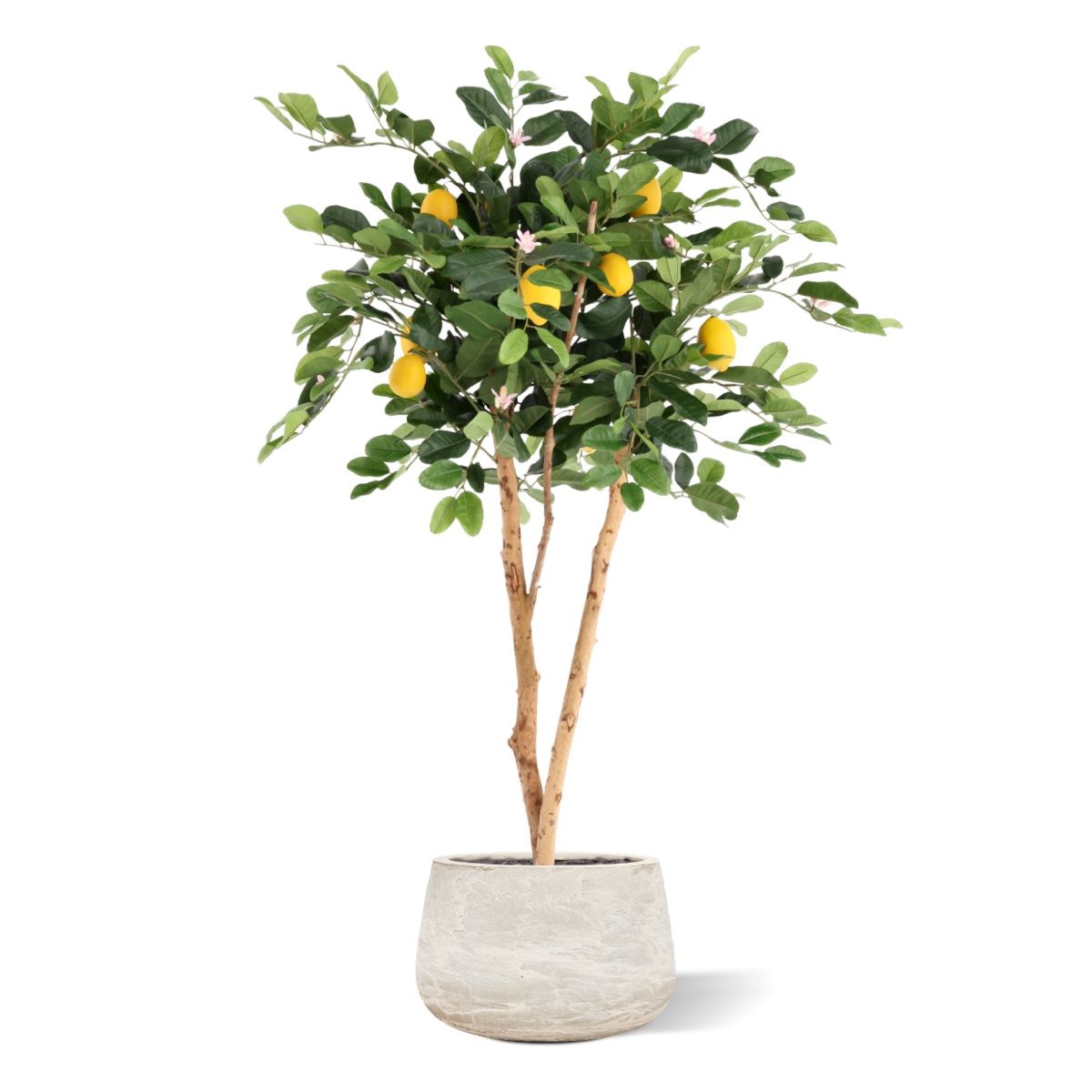 Citroen Kunstplant 120cm