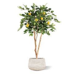 Citroen Kunstplant 120cm