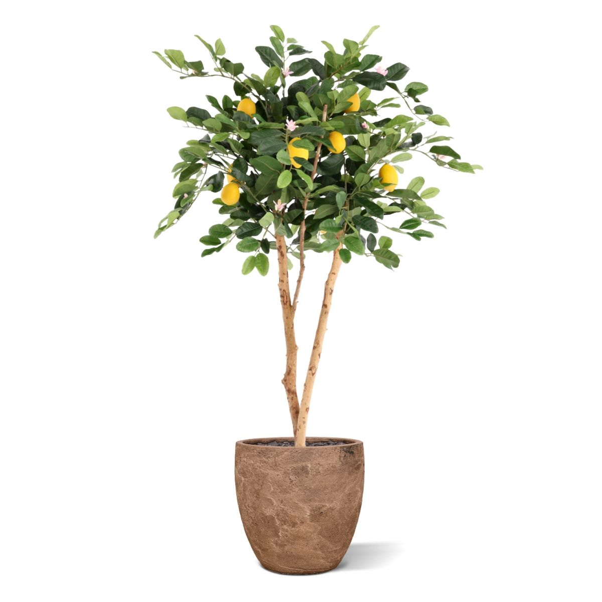 Citroen Kunstplant 120cm