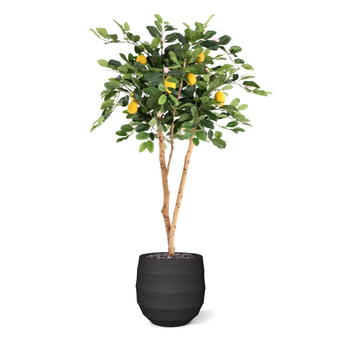 Citroen Kunstplant 120cm