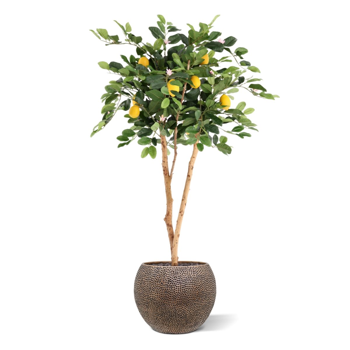 Citroen Kunstplant 120cm