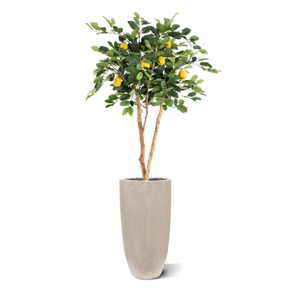 Citroen Kunstplant 120cm