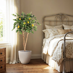 Citroen Kunstplant 120cm