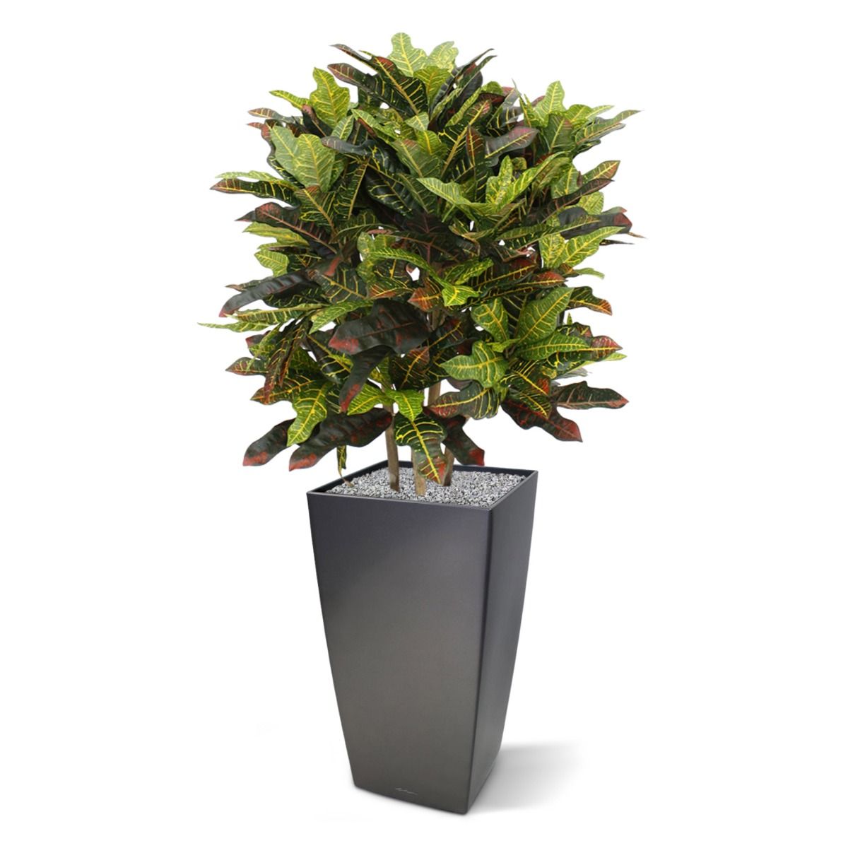 Croton deluxe XL kunstplant 90cm