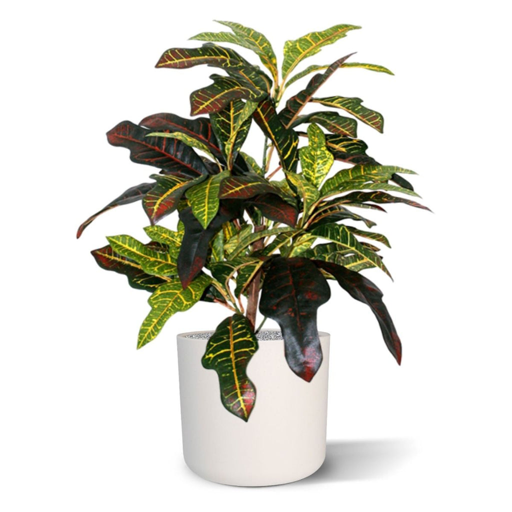 Croton Window kunstplant 50cm