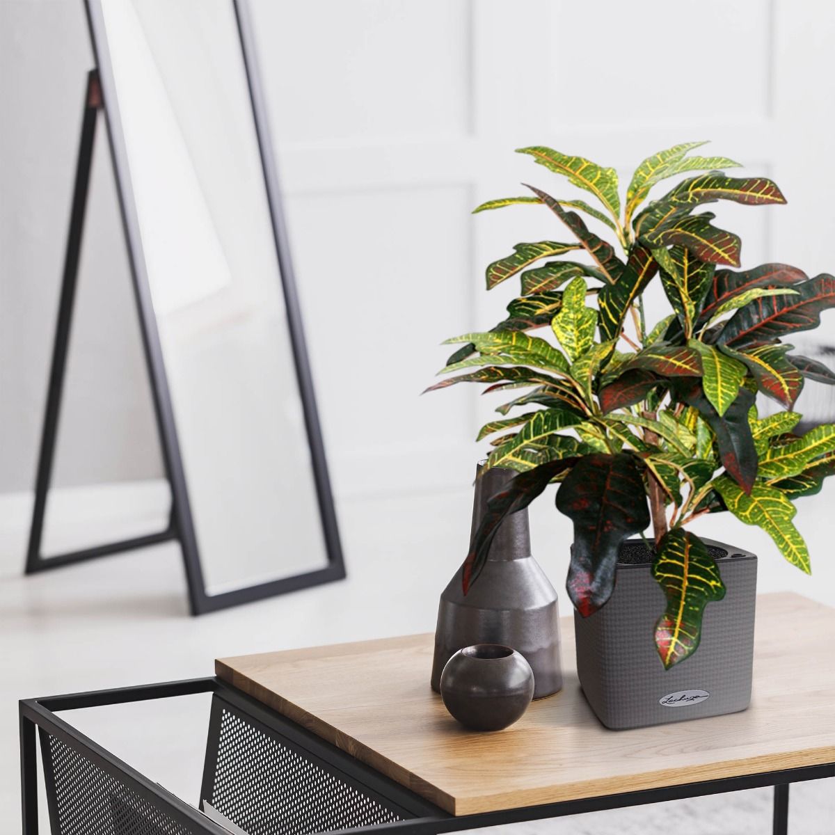 Croton Window kunstplant 50cm