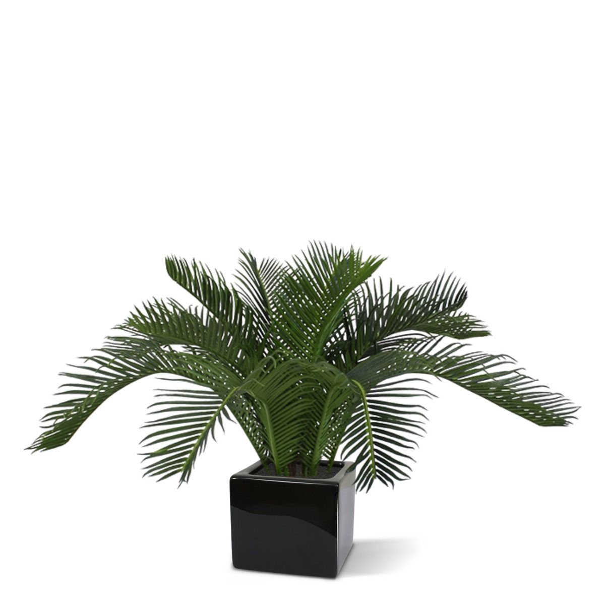 Cycas Baby kunstpalm 45cm - N