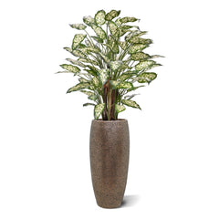 Dieffenbachia Kunstplant 110cm Deluxe