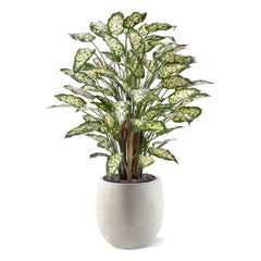 Dieffenbachia Kunstplant 110cm Deluxe