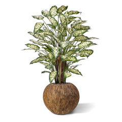 Dieffenbachia Kunstplant 110cm Deluxe