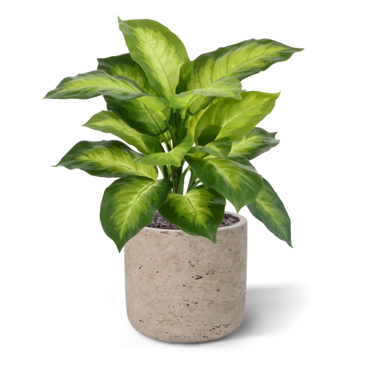 Dieffenbachia Kunstplant 33cm