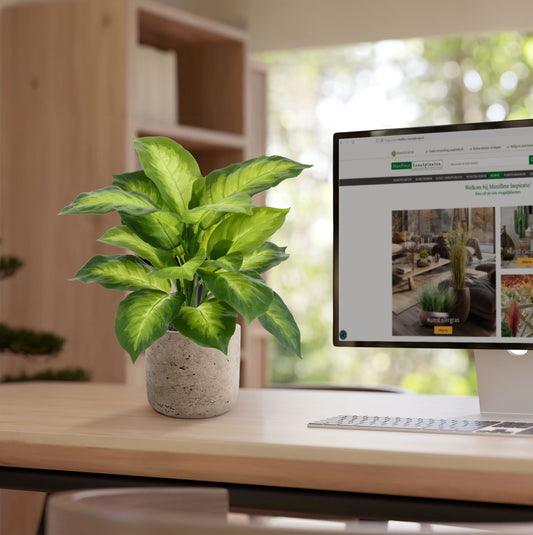 Dieffenbachia Kunstplant 33cm