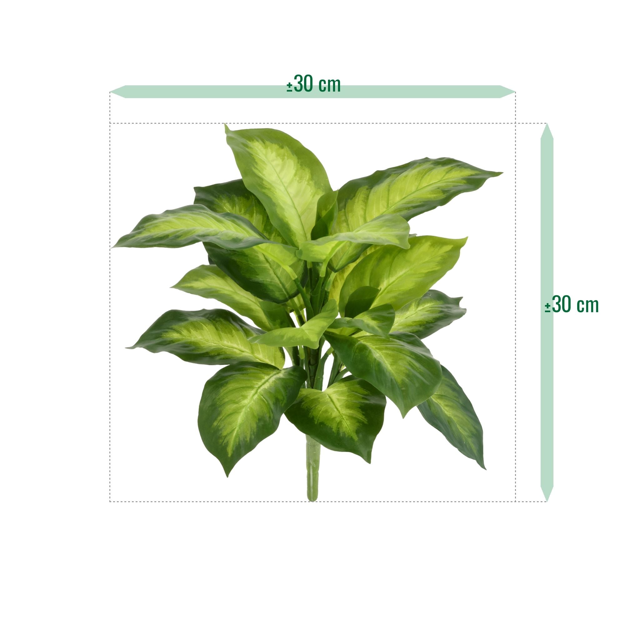Dieffenbachia Kunstplant 33cm