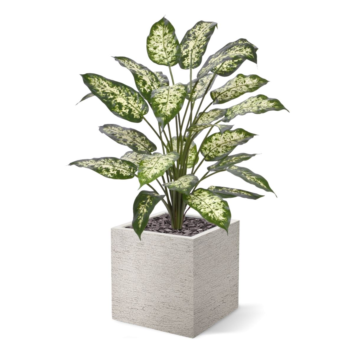 Dieffenbachia Kunstplant 75cm Deluxe