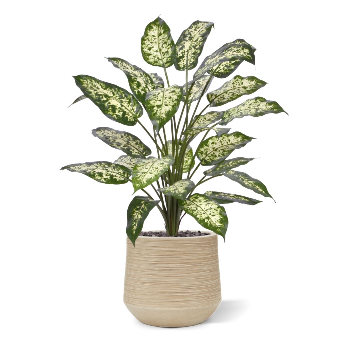 Dieffenbachia Kunstplant 75cm Deluxe
