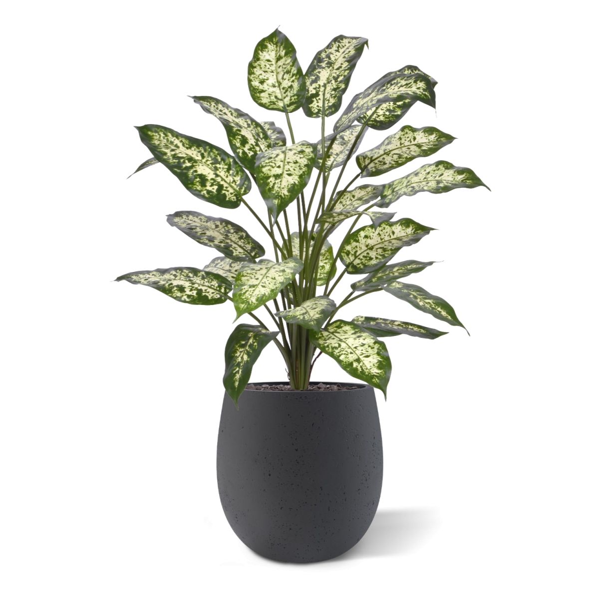 Dieffenbachia Kunstplant 75cm Deluxe