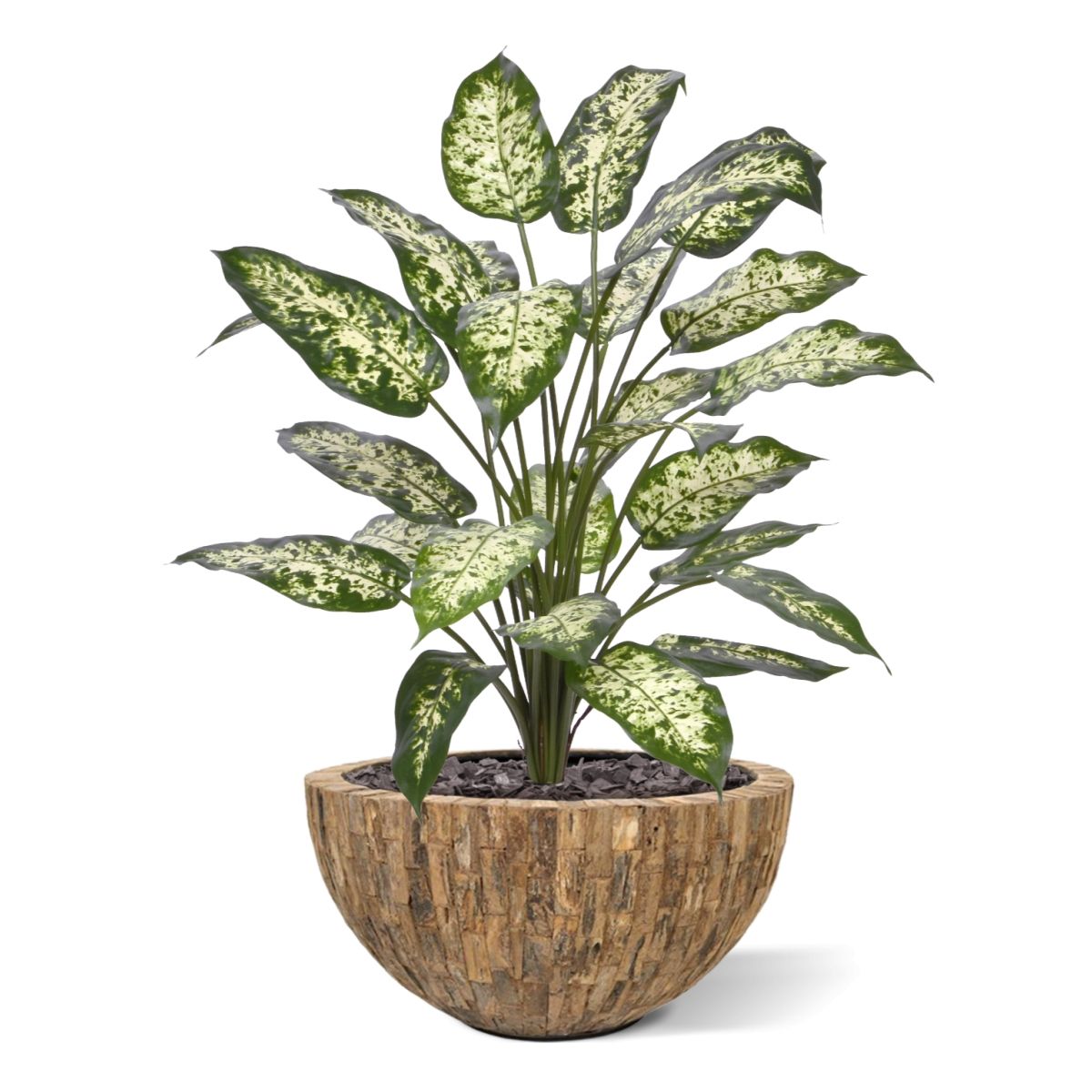 Dieffenbachia Kunstplant 75cm Deluxe