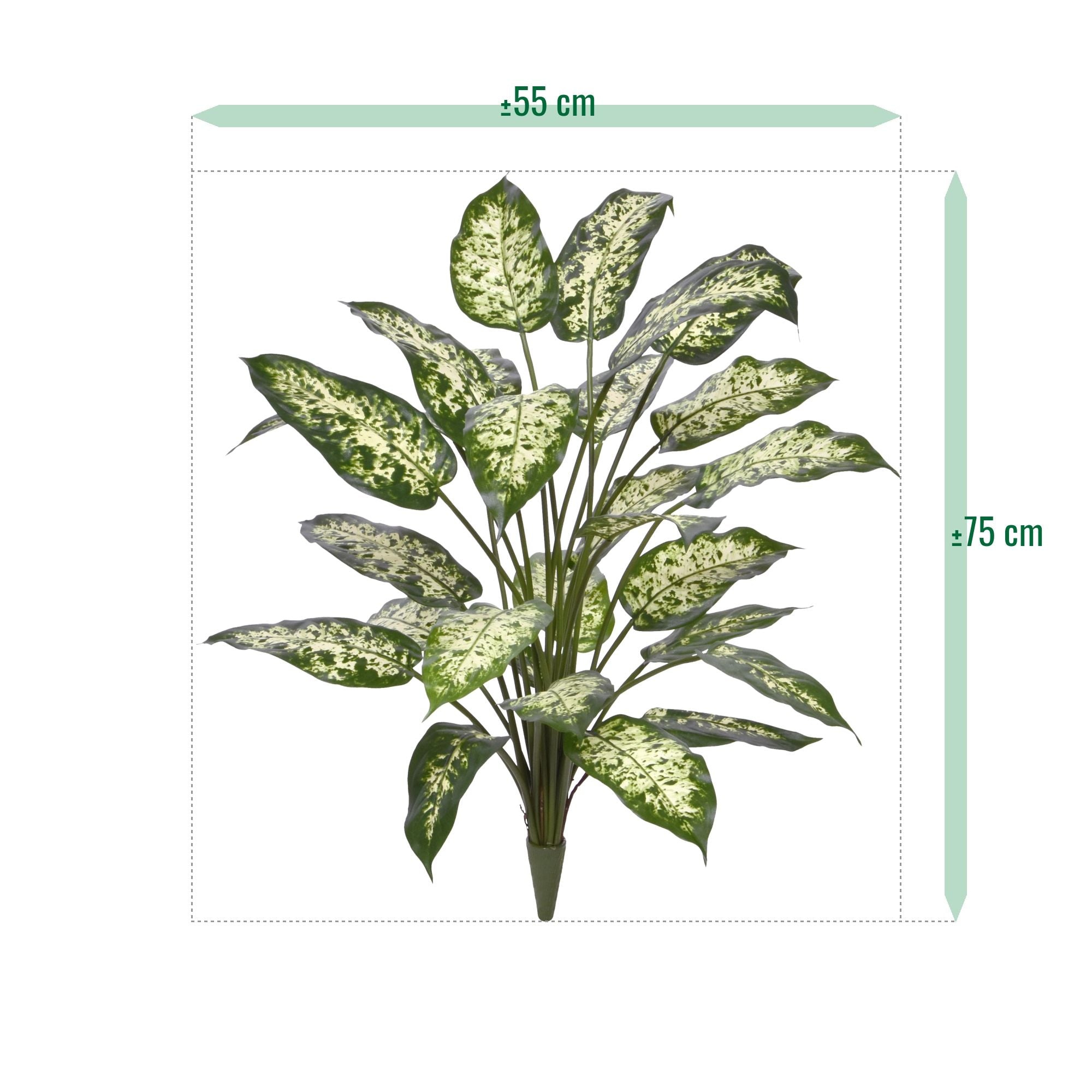 Dieffenbachia Kunstplant 75cm Deluxe
