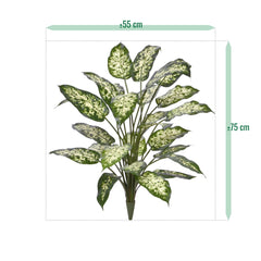Dieffenbachia Kunstplant 75cm Deluxe