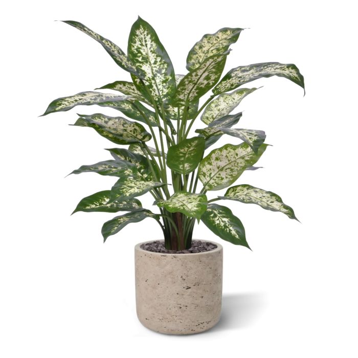 Dieffenbachia Kunstplant Deluxe 60cm in pot