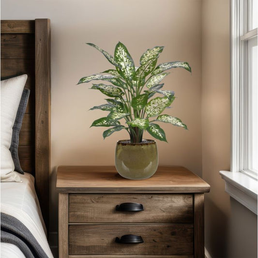 Dieffenbachia Kunstplant Deluxe 60cm in pot