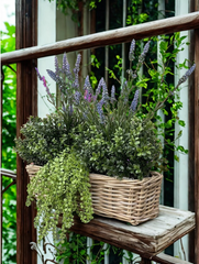 Dischidia Nummularia kunsthangplant 40cm UV 