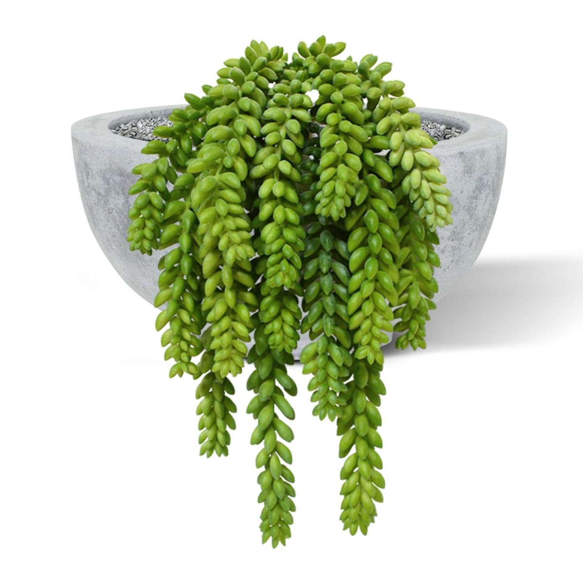 Sedum Donkey tail kunstplant 30cm