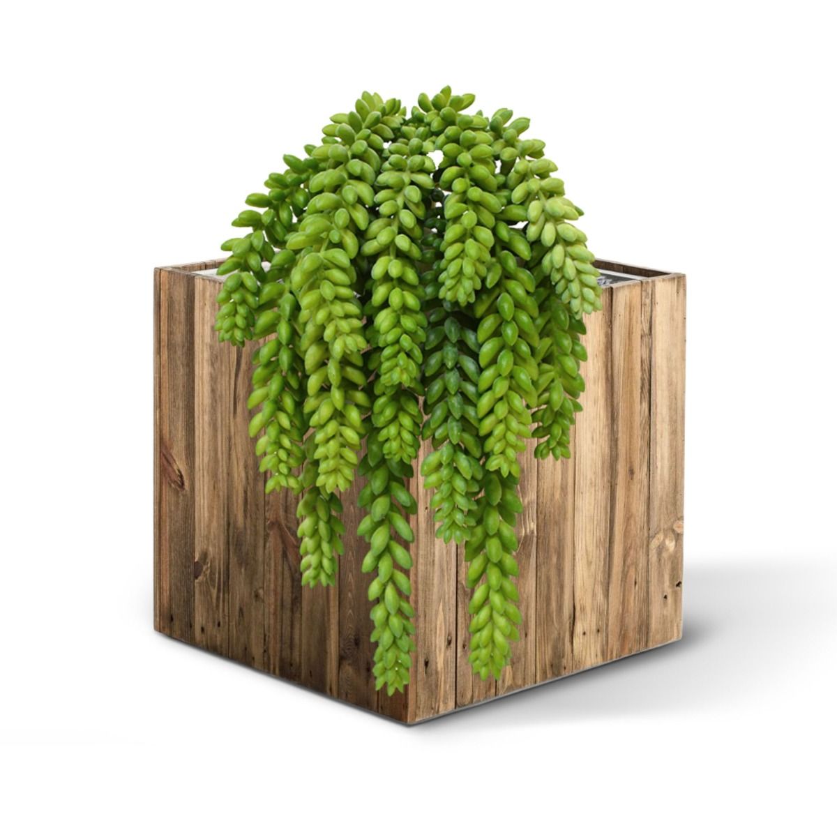 Sedum Donkey tail kunstplant 30cm