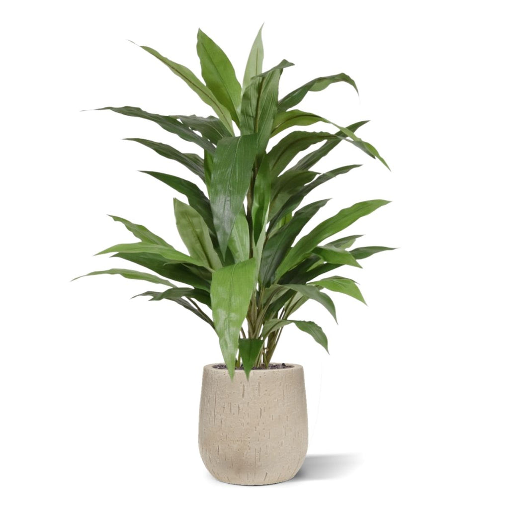 Draceana groen kunstplant 80cm
