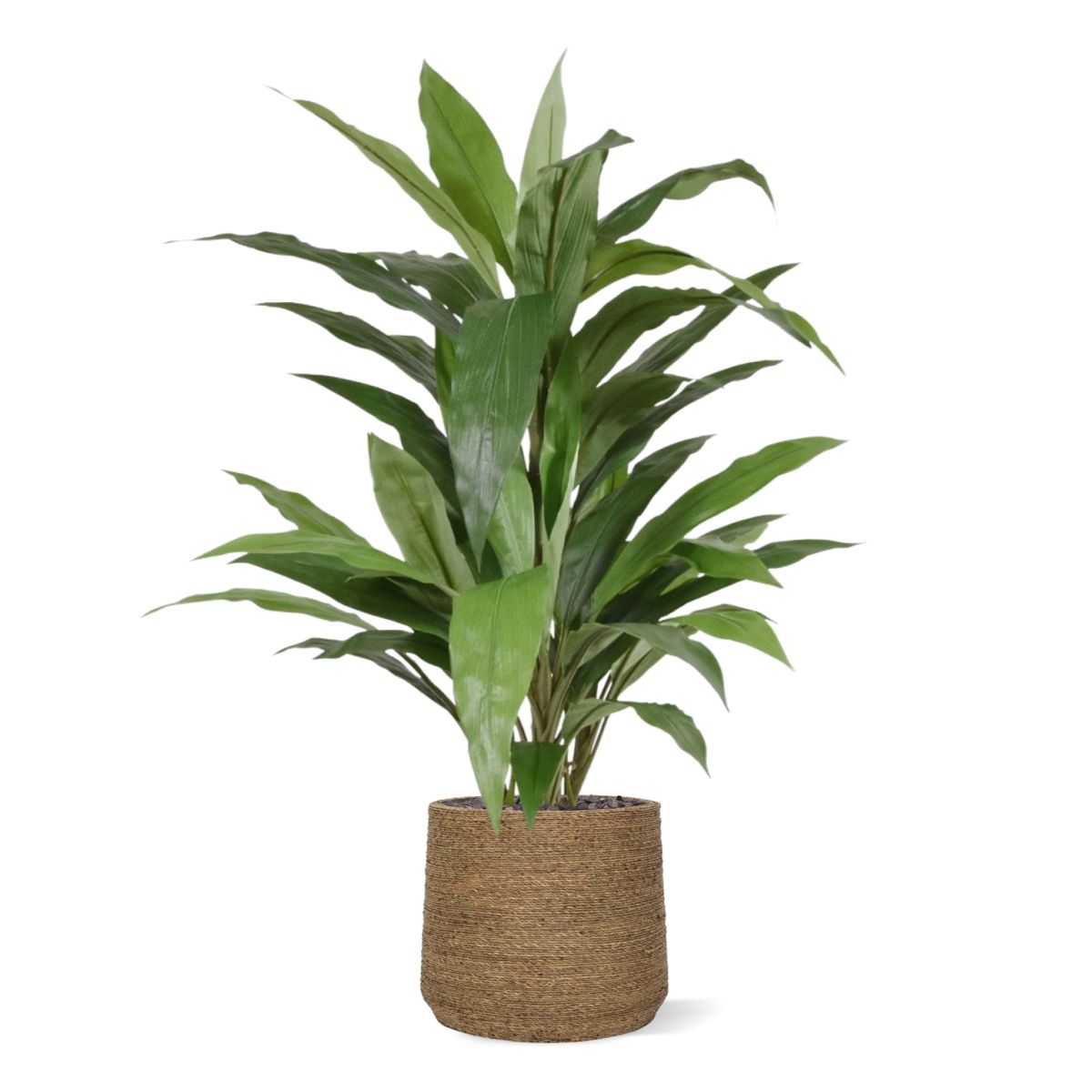 Draceana groen kunstplant 80cm