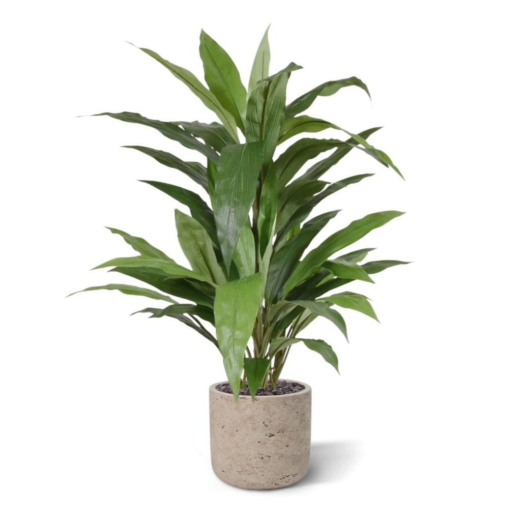 Draceana groen kunstplant 80cm