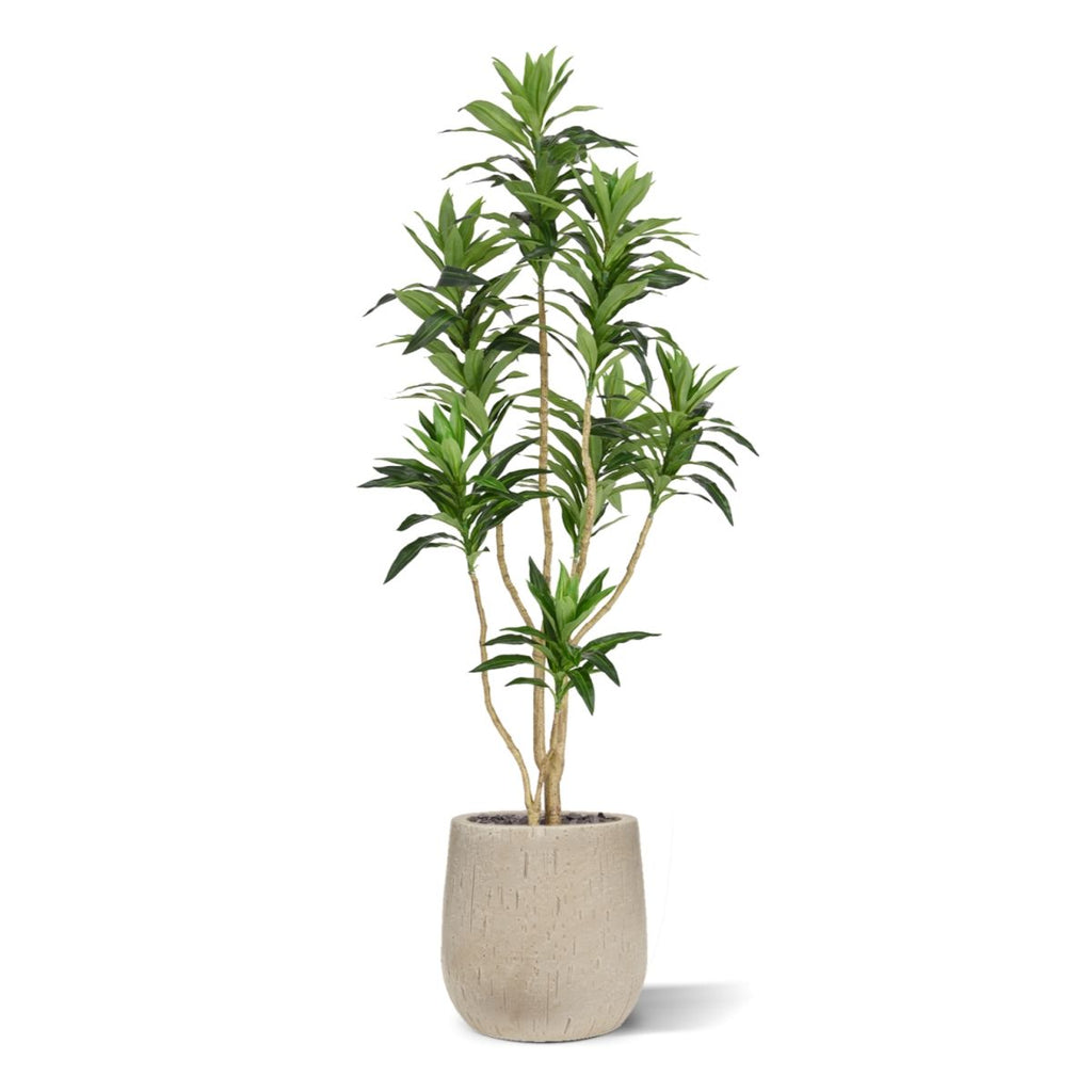 Draceana Reflexa Kunstplant groen 120cm RT